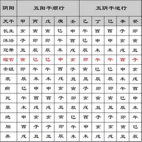 寄生十二宫|八字入门